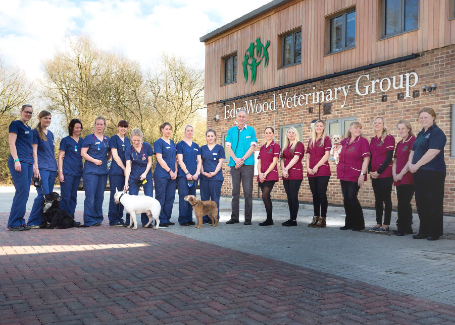 Vets in Essex with a difference