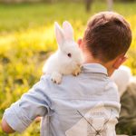 Outdoor rabbit advice from Edgewood Vets