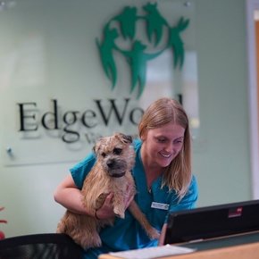 Managing cat and dog obesity Managing cat and dog obesity