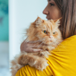 Vet Jürgen Theinert shares advice on dealing with an anxious cat
