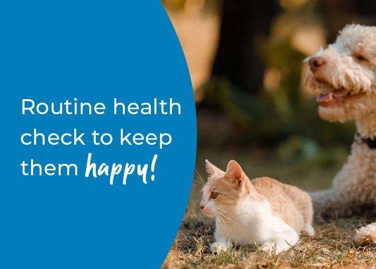 Routine health check to keep them happy!
