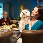 Taking Your Dog to the Pub: Simple Tips for a Happy Outing